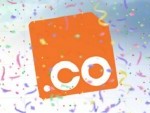 Rapport statistique sur l'évolution du nom de domaine en .CO