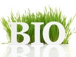 Le .bio : Une extension pleine de vie